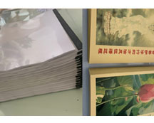 四平腾悦图文